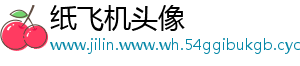 纸飞机头像